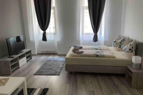 Apartment in Vienna City center, Vienna